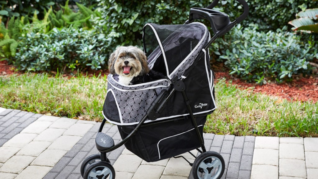 Large dog stroller outlet used