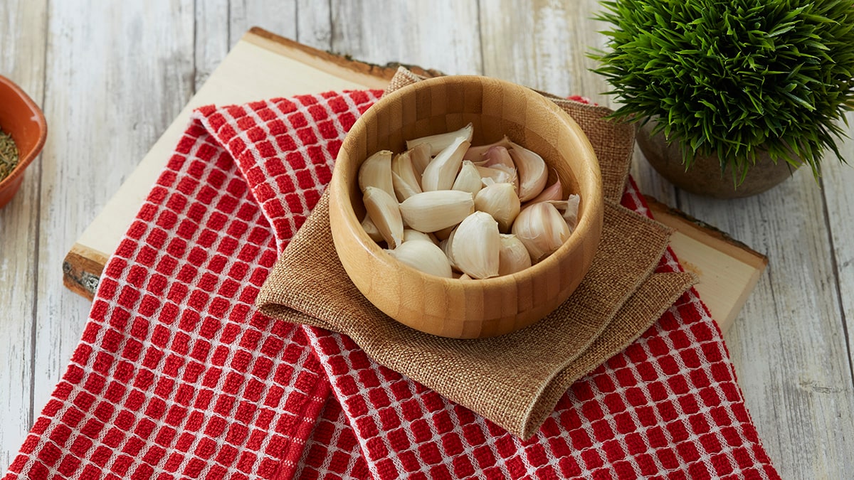 Garlic in dog outlet food