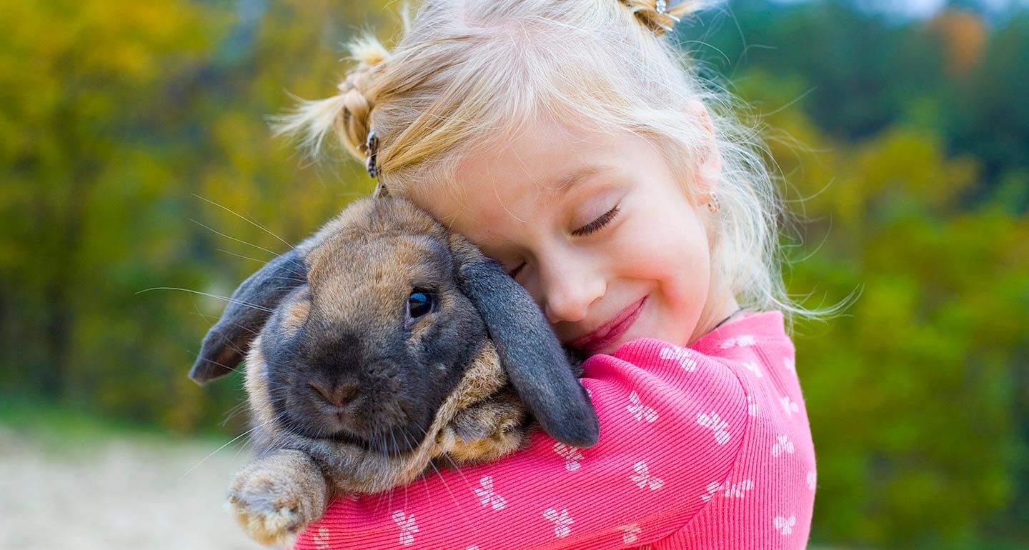 Best Small Animal Pets For Children | BeChewy