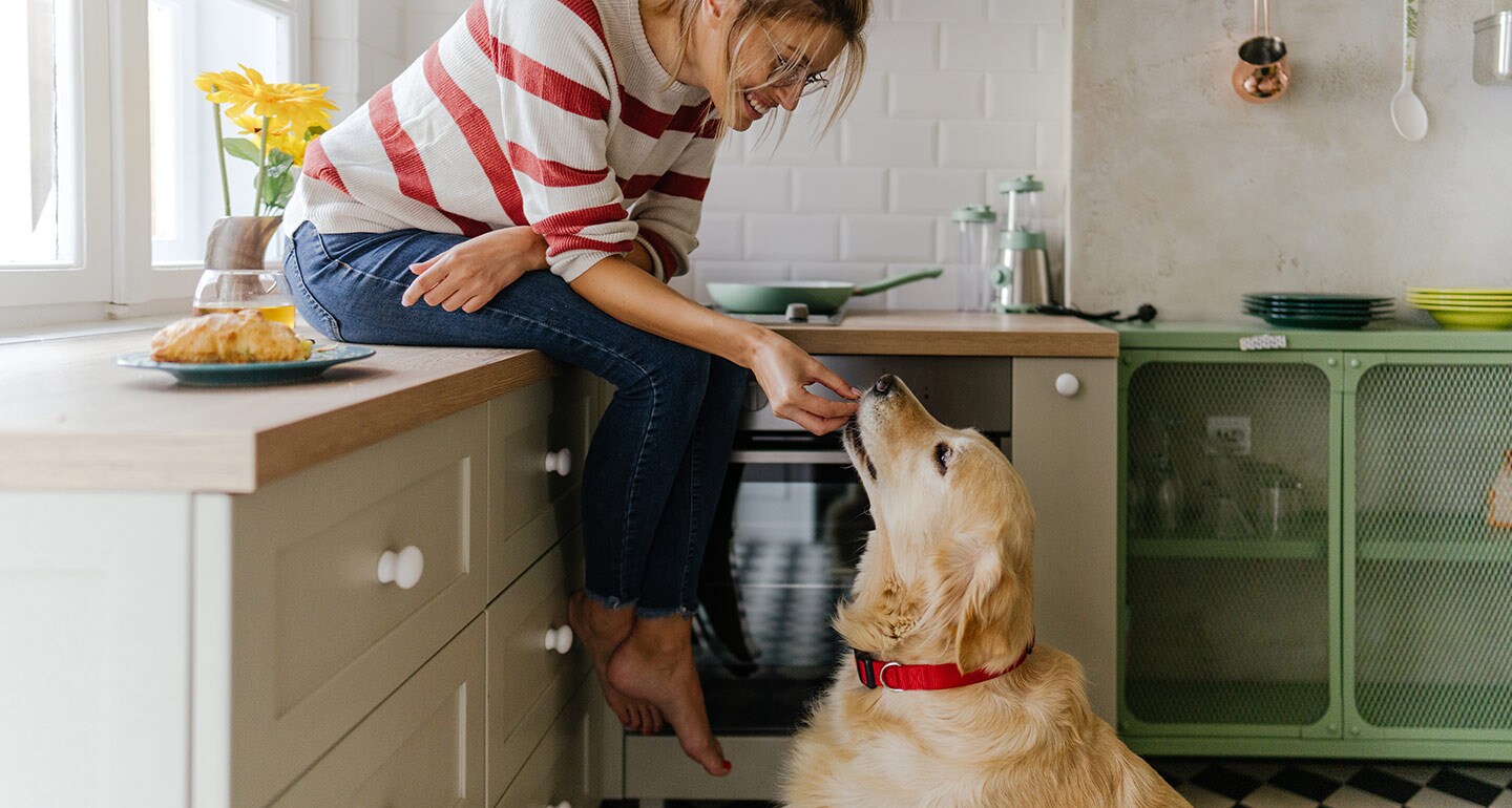 8 Superfoods For Dogs (That Your Dog Will Happily Eat) BeChewy