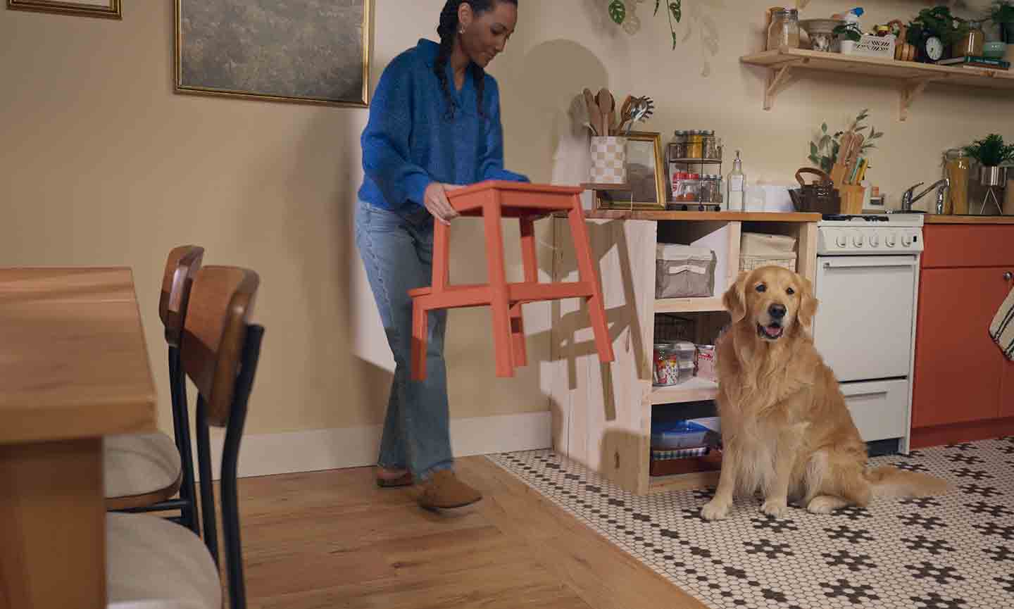 how to stop dogs jumping up on countertops