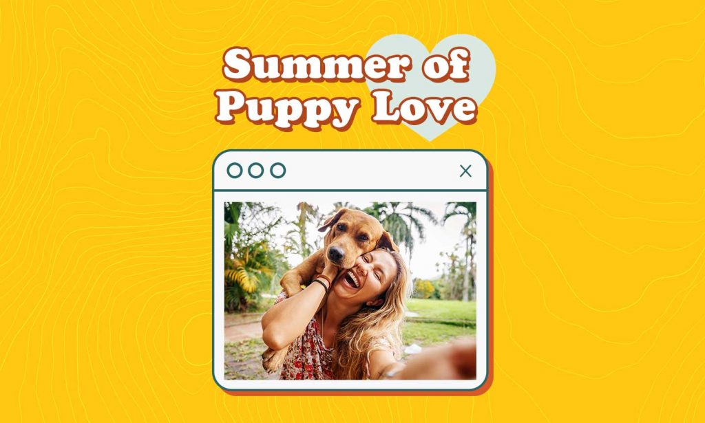 Fun Things To Do With Your Dog In The Summer BeChewy