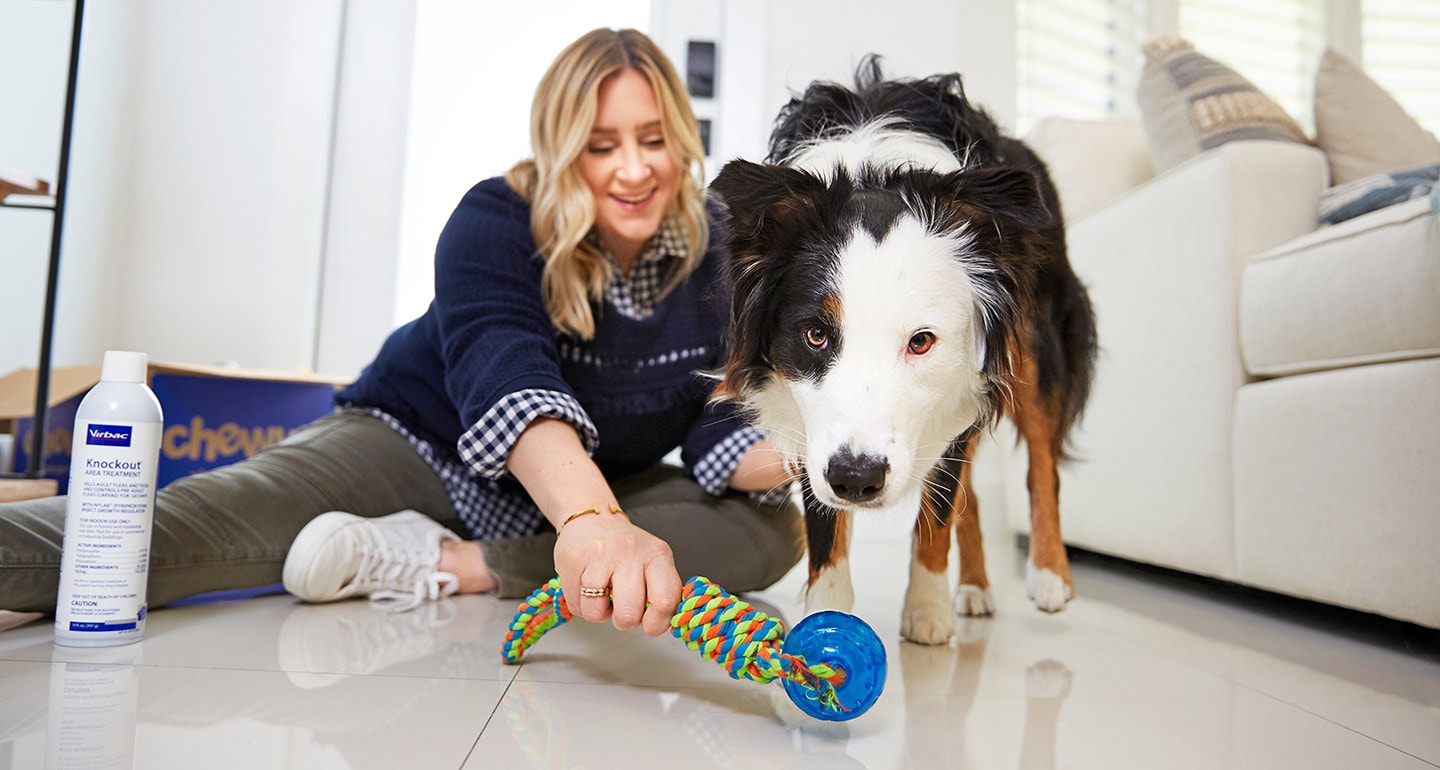 Will Shaving A Dog Get Rid Of Fleas