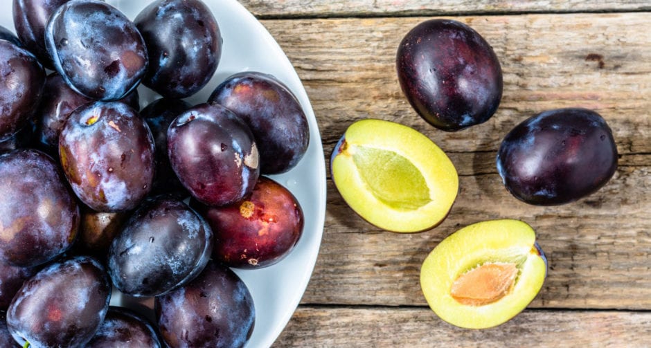 Can Dogs Eat Plums? BeChewy