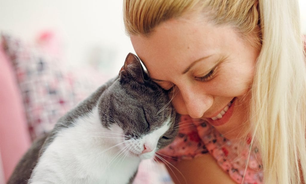 Does My Cat Love Me? 13 Ways Your Cat Says, 'I Love You' BeChewy