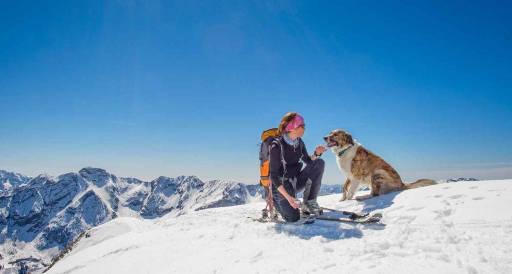 dog friendly ski resorts