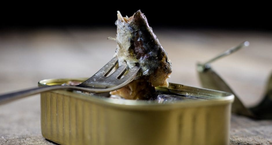 8 Power Foods to Add to Your Dog’s Homemade or Raw Diet BeChewy