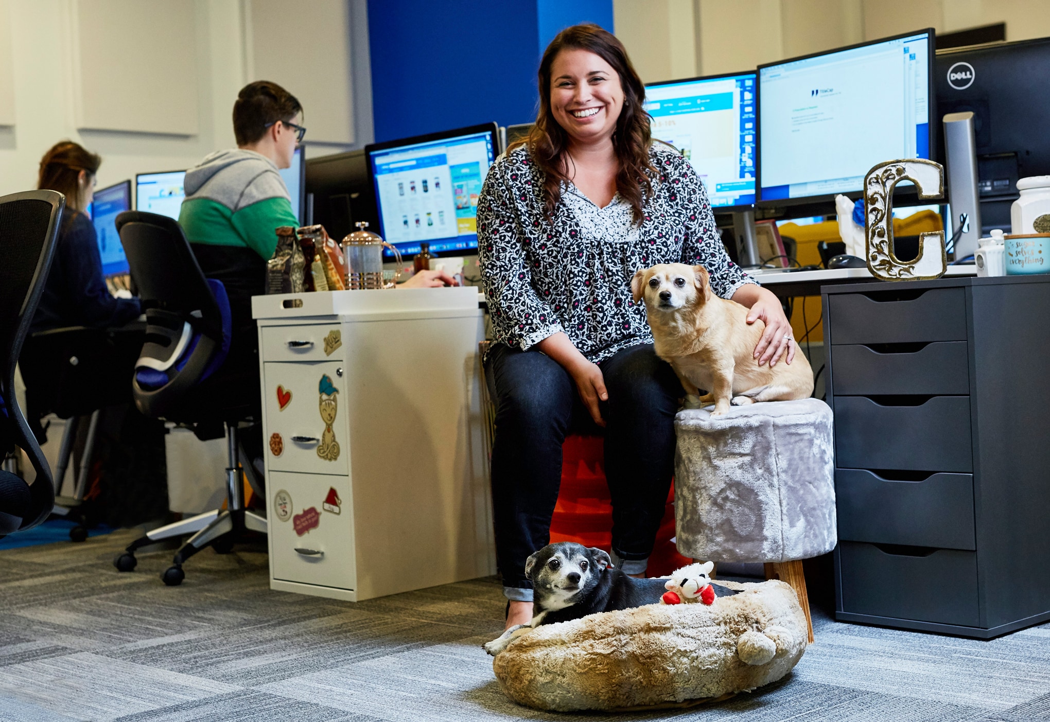 Meet The Office Dogs at Chewy HQ BeChewy