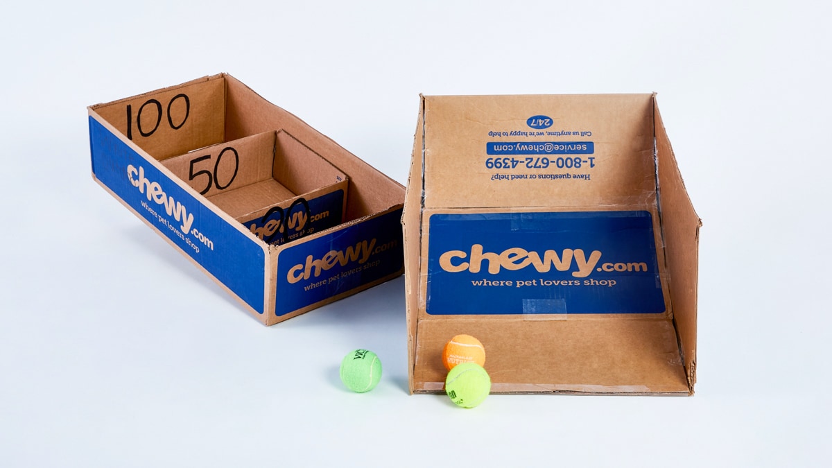 Chewy box on sale for dogs