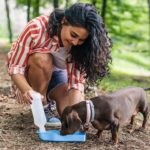Dehydration in Dogs: Signs, Symptoms, Solutions