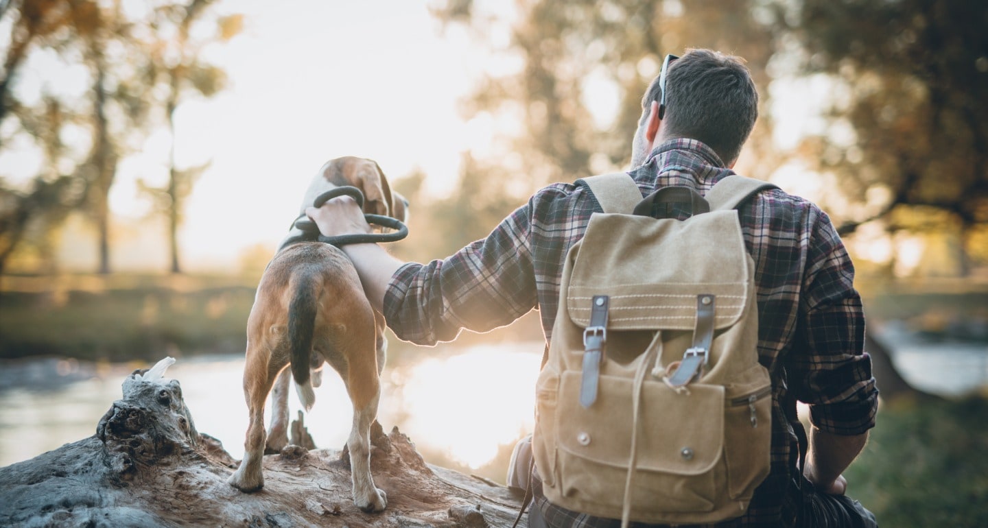 hiking with your dog to boost his confidence