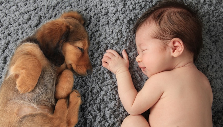 puppy and baby