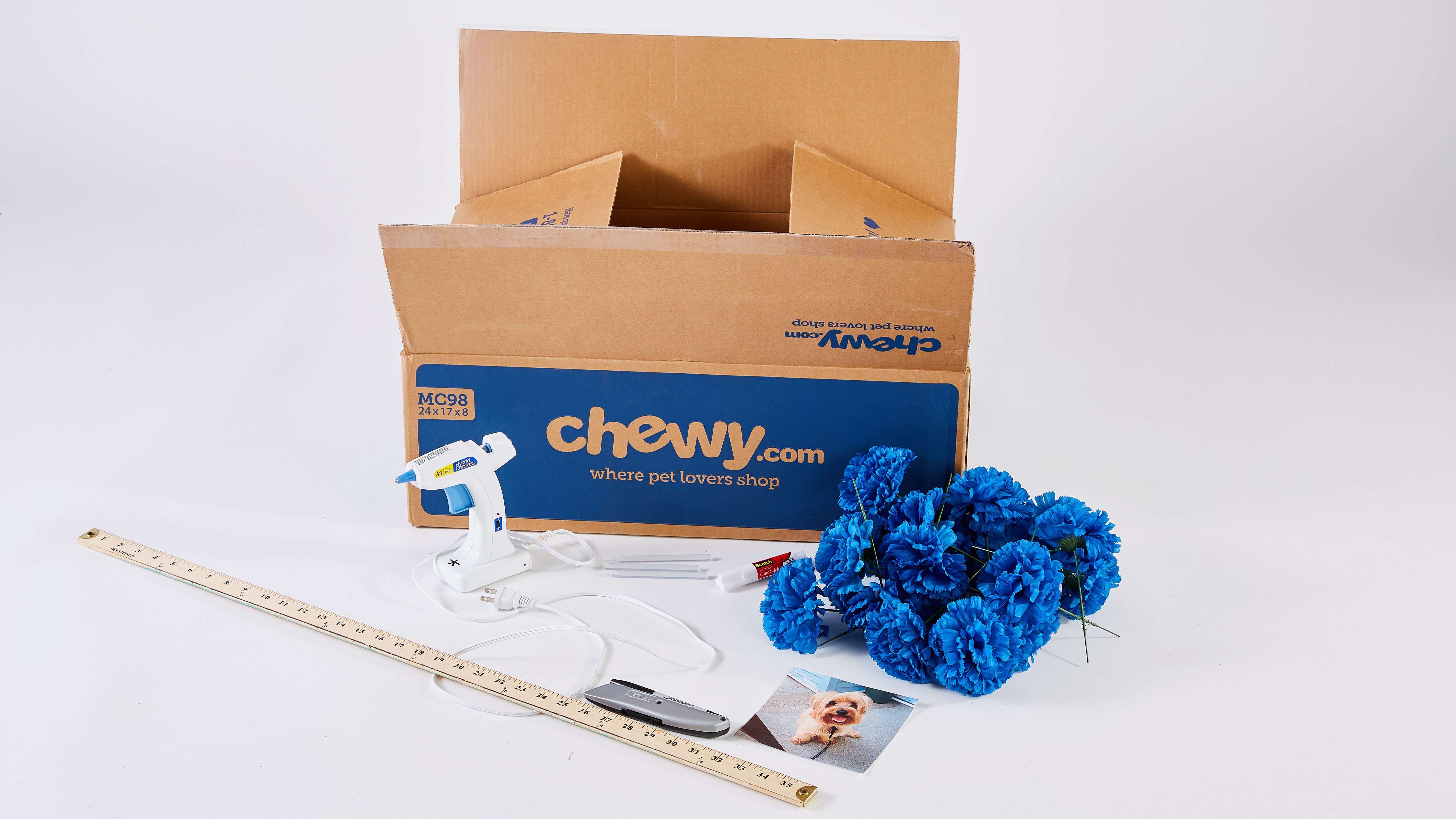 DIY Home Decor, DIY Photo Frame and More Chewy Box Crafts BeChewy