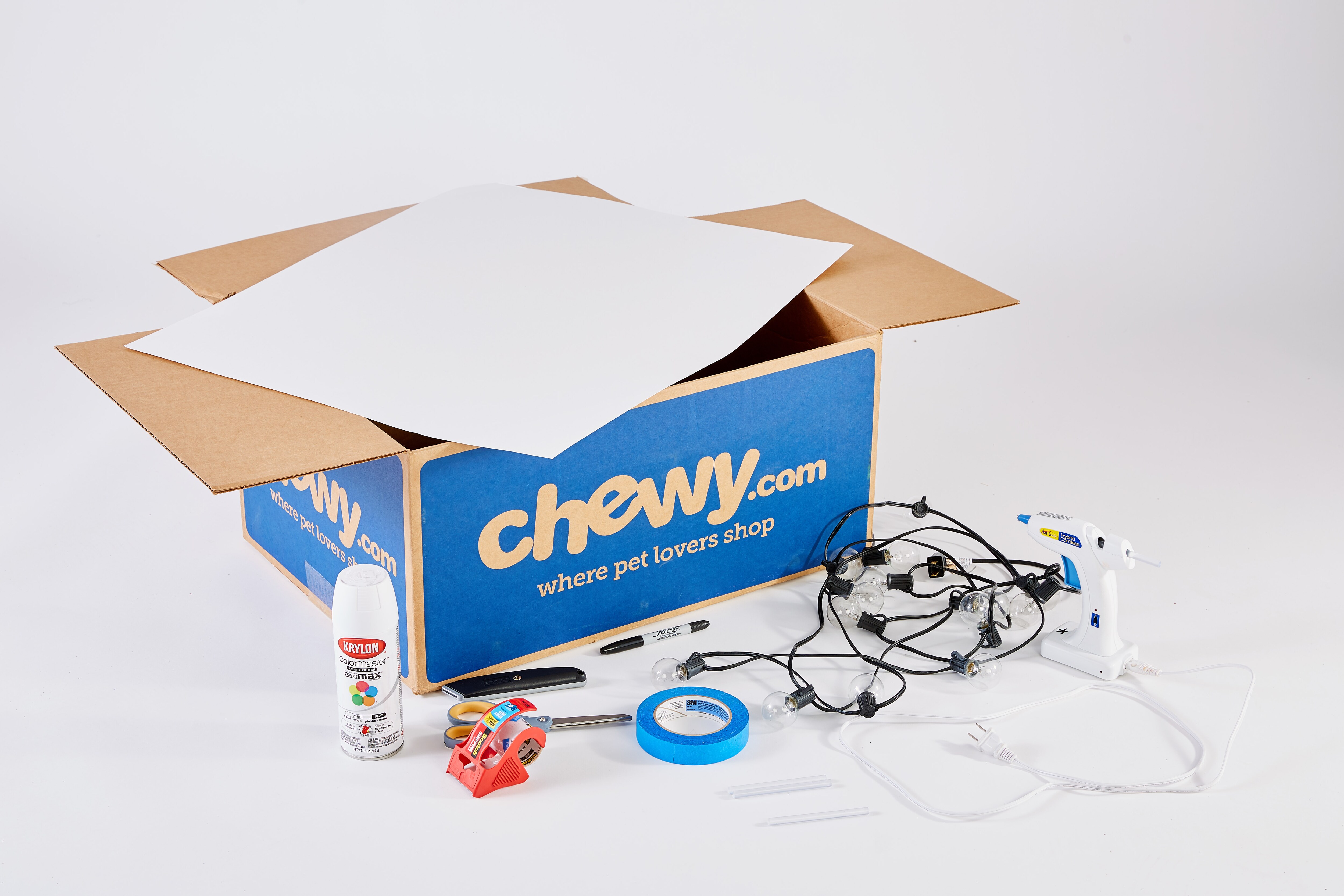 DIY Home Decor, DIY Photo Frame and More Chewy Box Crafts BeChewy