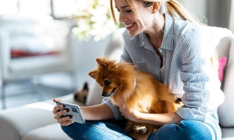 How to Find a Trustworthy, Reliable Pet Sitter, According to the Pros