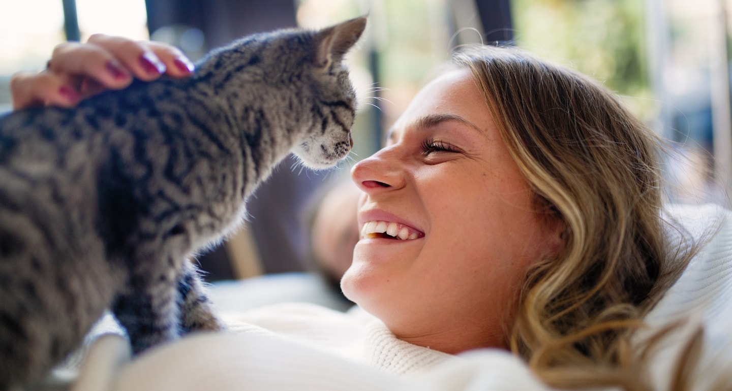 11 Telltale Signs You're a Cat Person, Cat Lady or Cat Guy | BeChewy