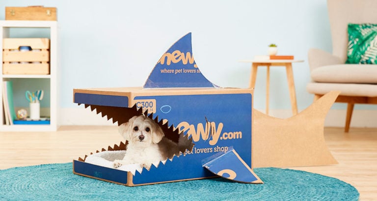 Chewy Box Craft DIY Shark Dog House BeChewy