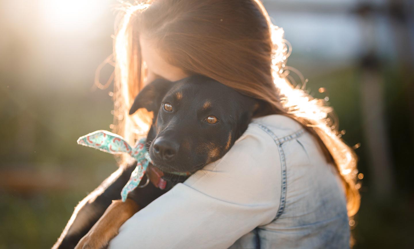 how to help a dog overcome grief