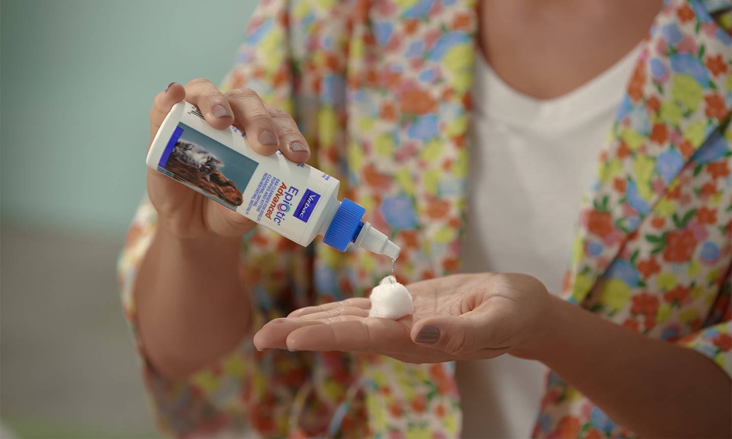 How to Clean Cat Ears StepbyStep Instructions BeChewy