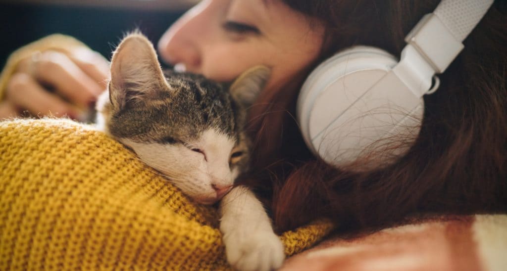 21 Reasons Kittens Are The Best Companions