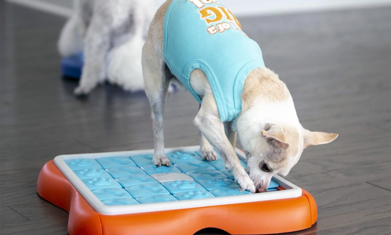 Toys Can Ease Your Dog's Separation Anxiety – Calming Dog