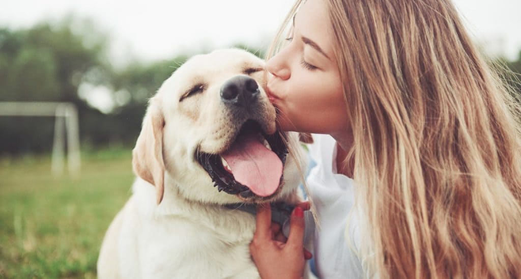 7 Ways to Bond with a Shy Dog
