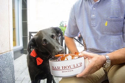 Bark Boulud at the Mandarin Oriental’s Bar Boulud was nothing short of mouthwatering. Bear enjoyed frozen yogurt with a peanut butter drizzle, topped with crispy bacon!