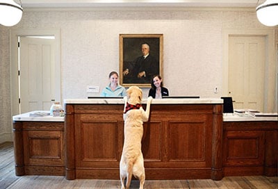Checking into the Taconic Hotel, demanding treats and attention from the dog loving staff. 