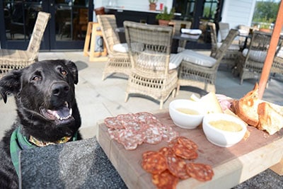 Having a snack at the hotel’s restaurant, The Copper Grouse. Charcuterie is better with your dog by your side!