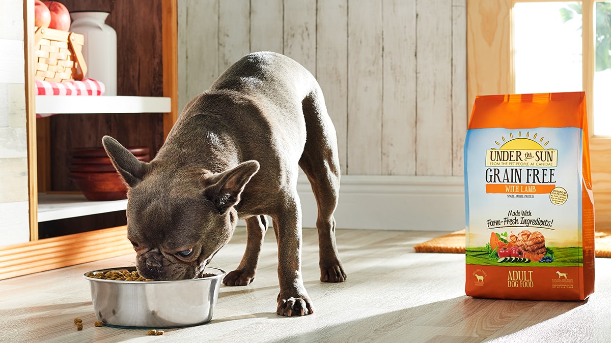 The Benefits of Farm Fresh Pet Foods BeChewy