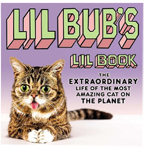 книга о кошках для любителей кошек