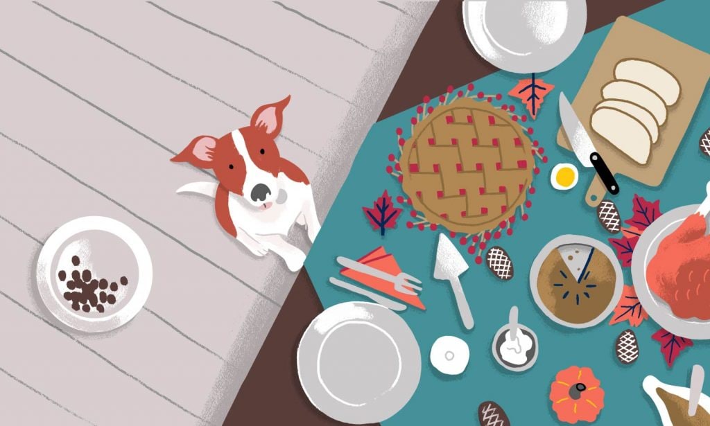 thanksgiving table and dog illustration