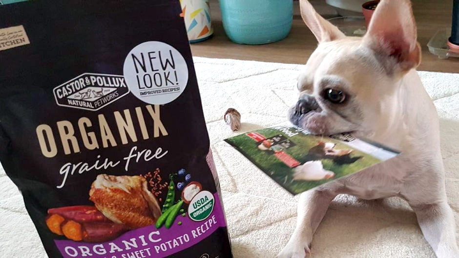 Dog Nutrition: Why Should You Feed Organic Pet Food?