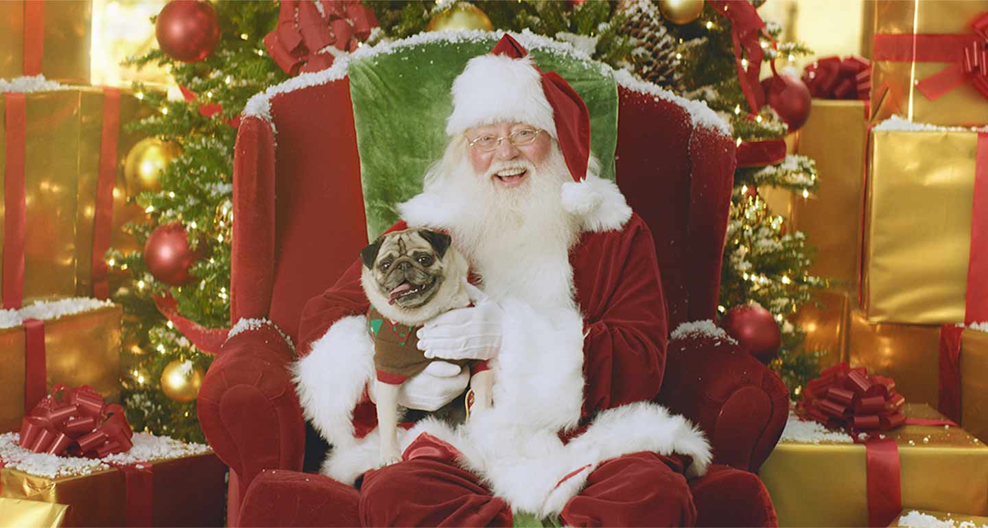 pet pictures with Santa