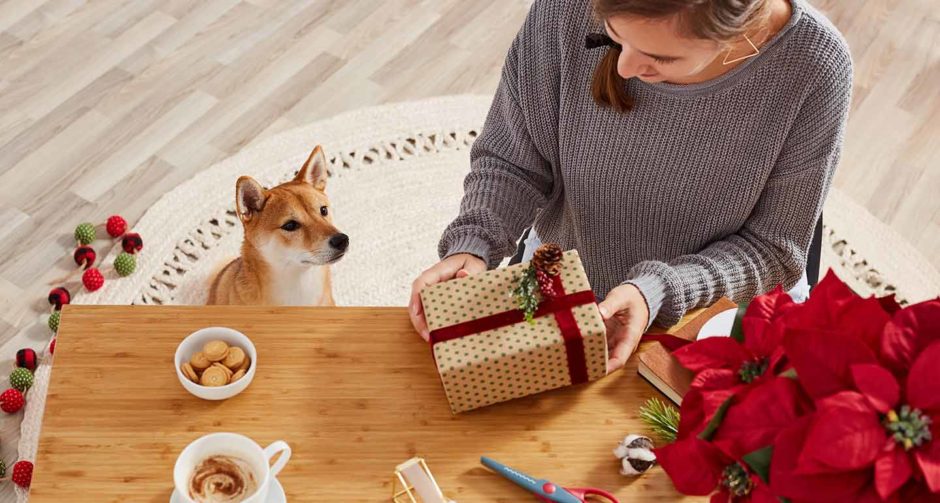 12 Most Common Poisonous Plants for Cats BeChewy