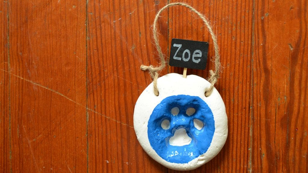 DIY Pet Gifts Your Furbaby Will Love! - The Cottage Market