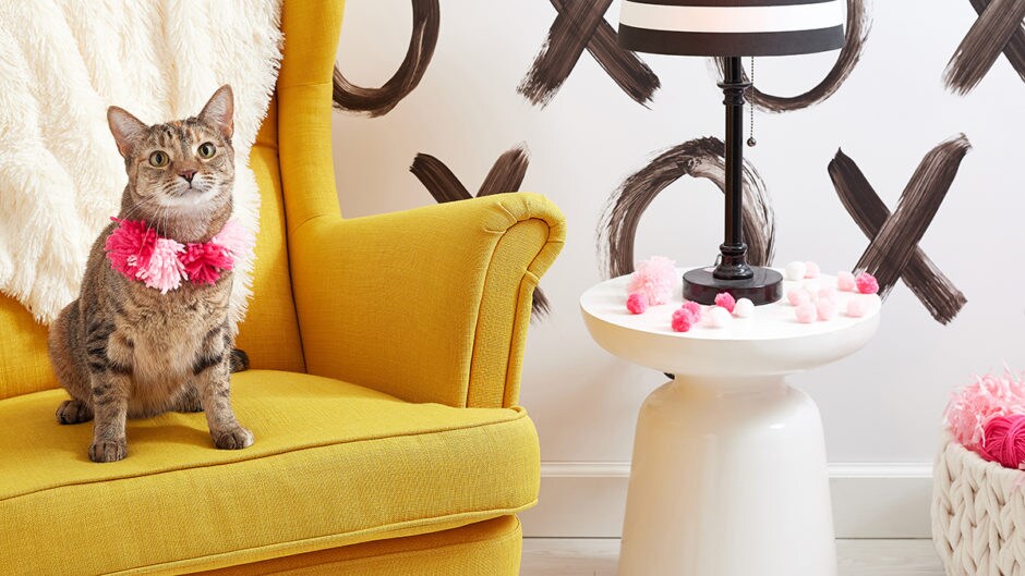 How to Show Your Cat You Love Them This Valentine's Day BeChewy