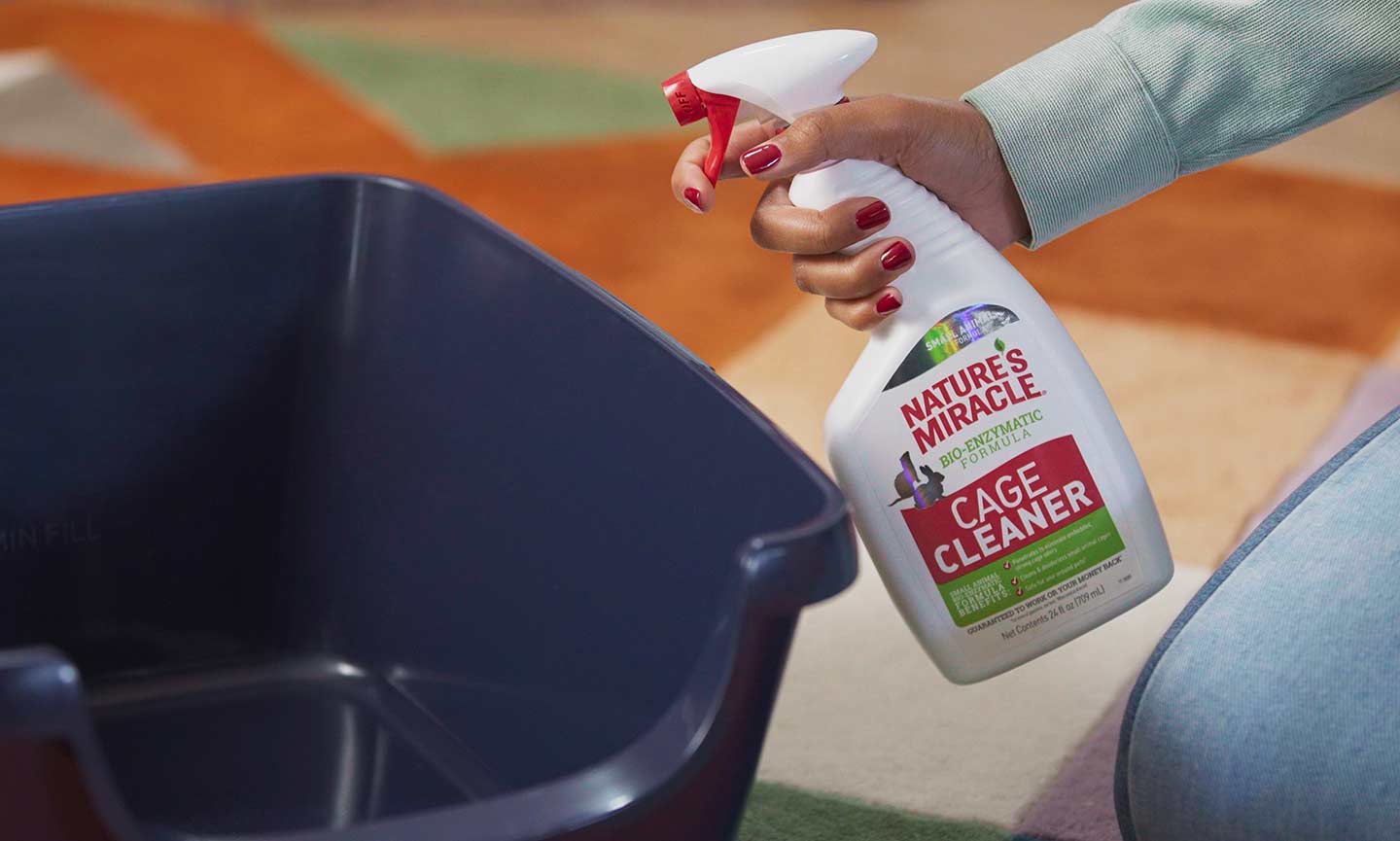 How to Litter Train a Rabbit A StepbyStep Guide BeChewy