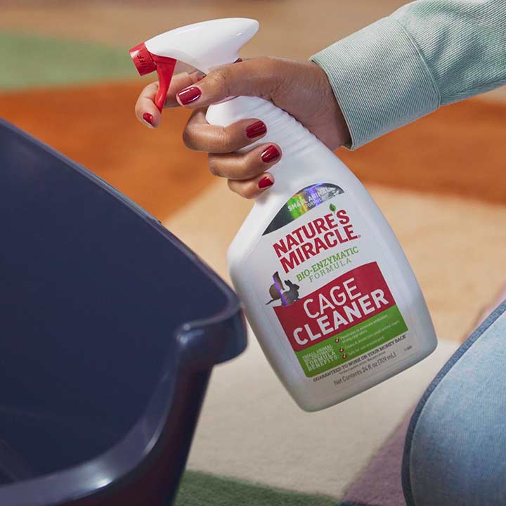 How to Litter Train a Rabbit A StepbyStep Guide BeChewy