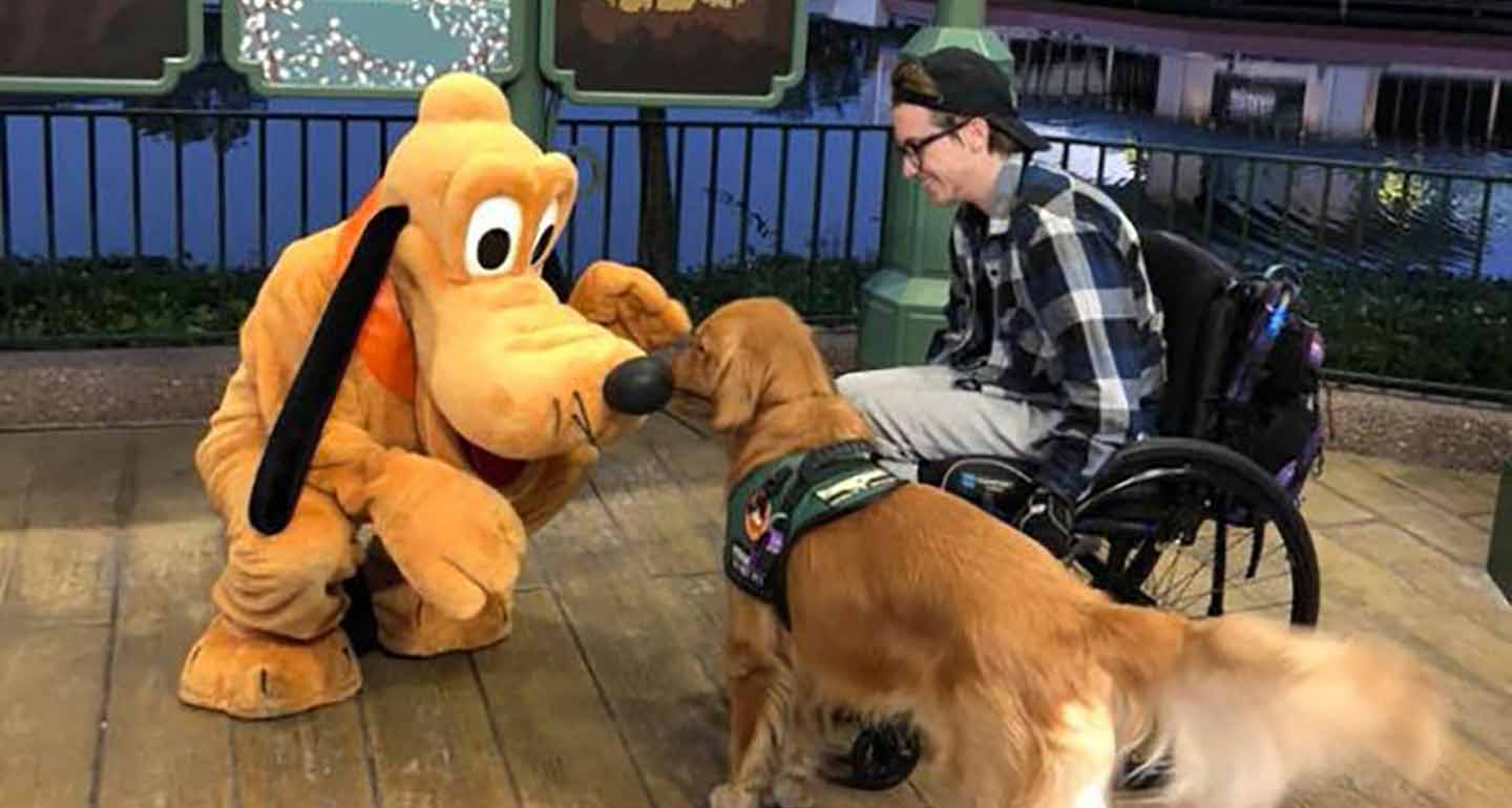 disney dog apparel