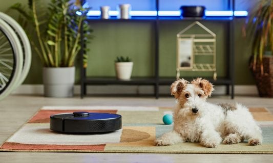 spring cleaning with pets dog robot vacuum