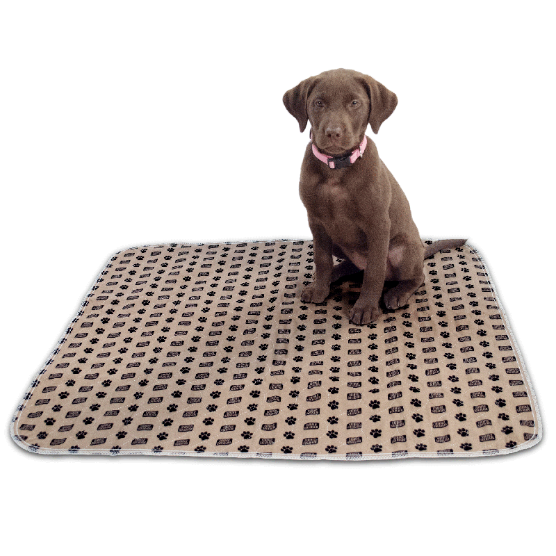 dog training pad