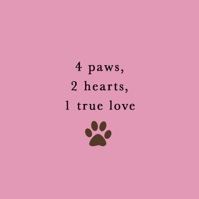 Valentine Messages for Pet Parents | BeChewy