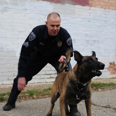police dog and man