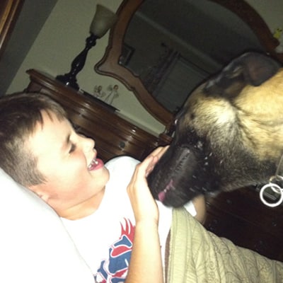 police dog with child