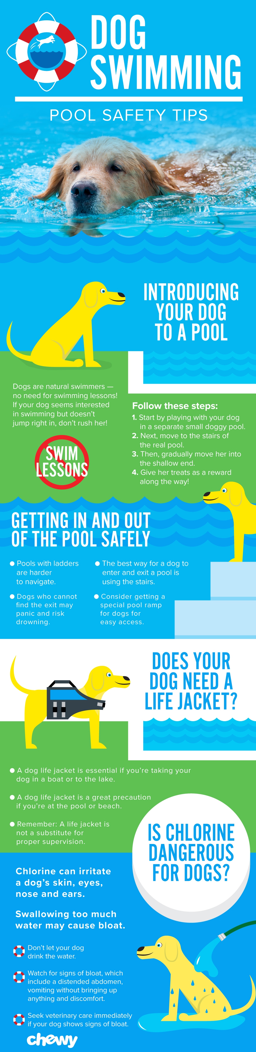 is chlorine pool safe for dogs