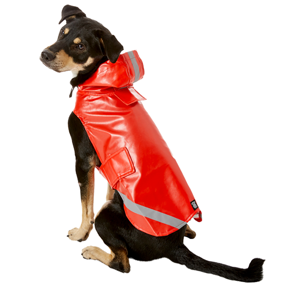 Pet Apparel Our Top 6 Dog Raincoats BeChewy