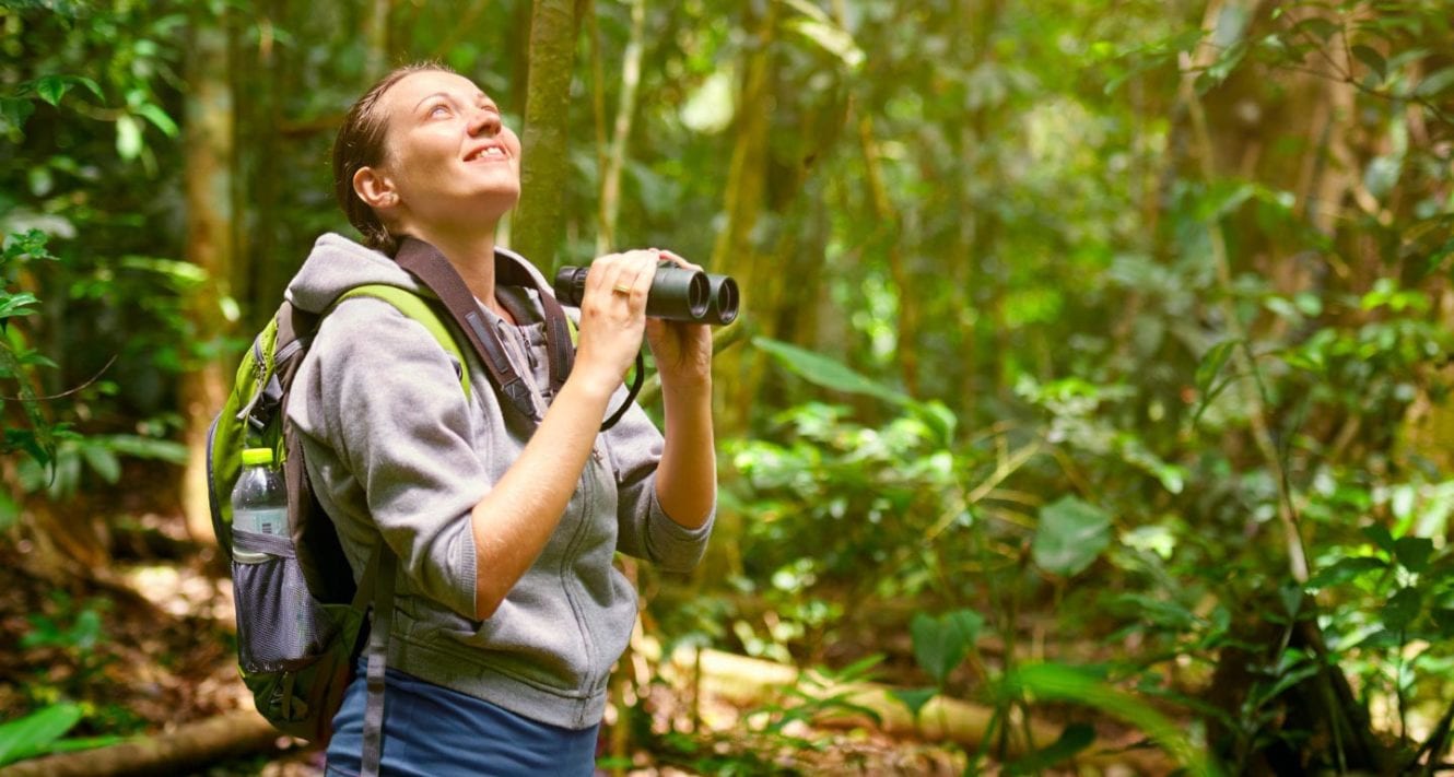 bird watching camera for beginners