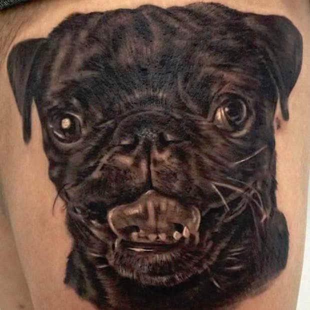 american history x tattoos dog