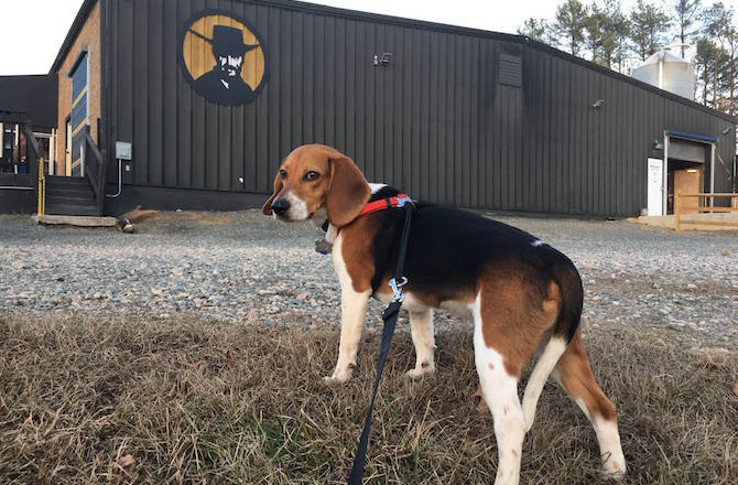 Lonerider Brewing Company